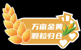 异形手举牌 小麦