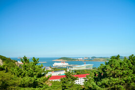 树木房子与海上岛屿