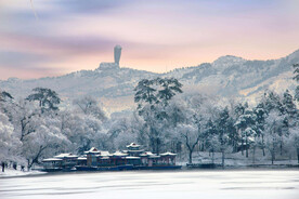 森林雪景图