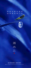 雨水节气海报