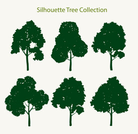 树木剪影