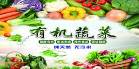 有机蔬菜