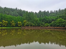 公园湖泊