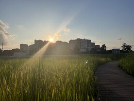 夕阳下的城市