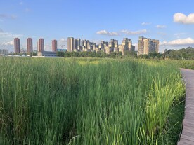 青青绿草