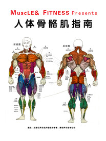骨骼肌