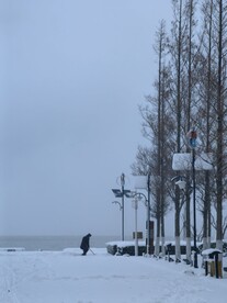 雪天