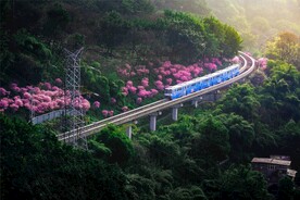 列车