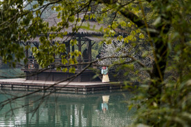 西溪湿地