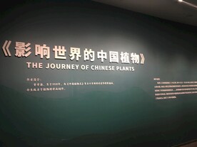 随拍