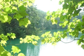 绿意黯然的上犹陡水湖