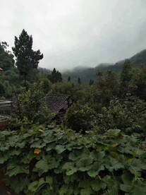 农家风光
