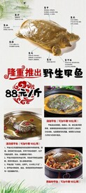生态甲鱼展架