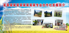 合作社发展简介