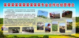 合作社经宽叶理念