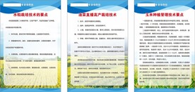 农作物栽培管理技术