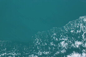 浪花