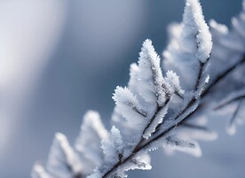 冰雪初融