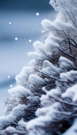 冰雪初融