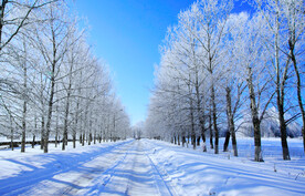 冬季雪景