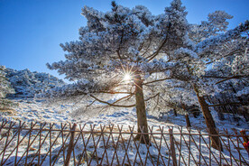 冬天白雪