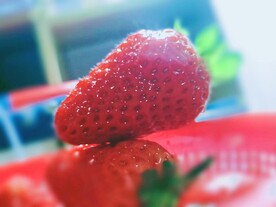 新鲜草莓