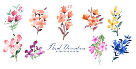 水彩花卉装饰