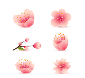 樱花素材