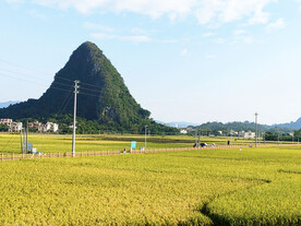 田野风光