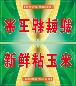 玉米