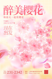 粉色唯美赏樱花宣传海报