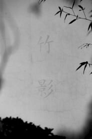 竹影