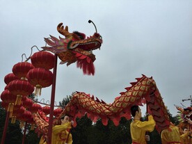舞龙