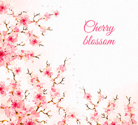 水彩樱花插画