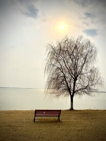 风景 湖畔
