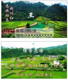 茶名片