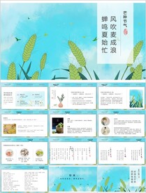 24节气芒种