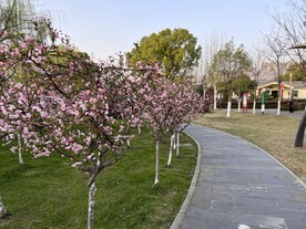 园林小道