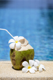 泳池边的椰子和花朵