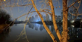 夜