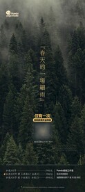 瑜伽海报禅意壁纸易拉宝