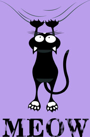 猫咪 