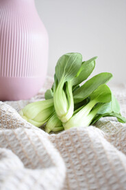 有机小青菜