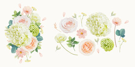 水彩花卉