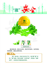 蔬菜话安全