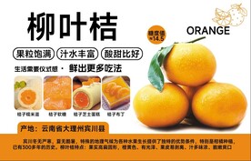 柳叶桔 超市吊旗 立牌
