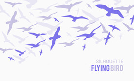 飞鸟剪影