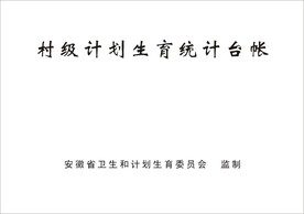 村级计划生育统计台帐