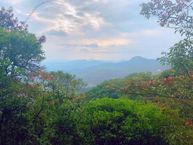 风景