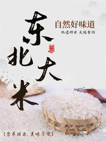 东北大米海报